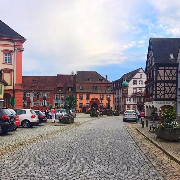 Blackforest Home Gengenbach nahe Europapark Rust, hotel di Offenburg