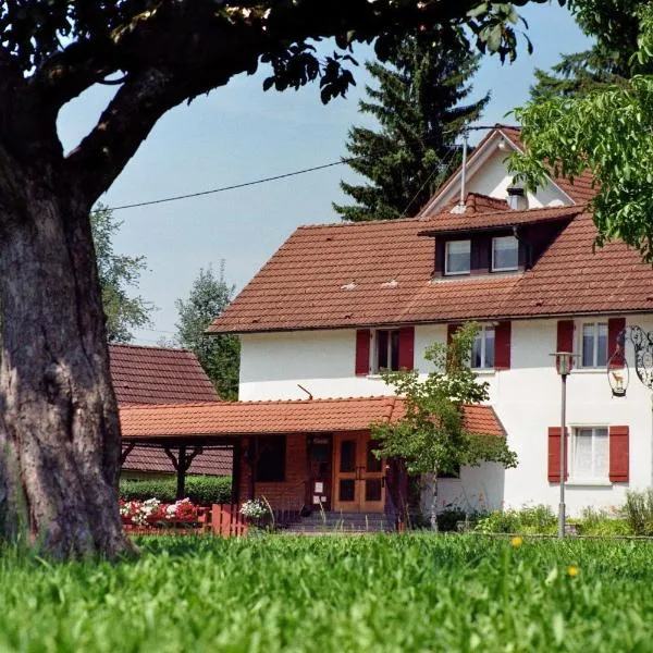 Gasthof zum Hirsch, hotel em Wasserburg