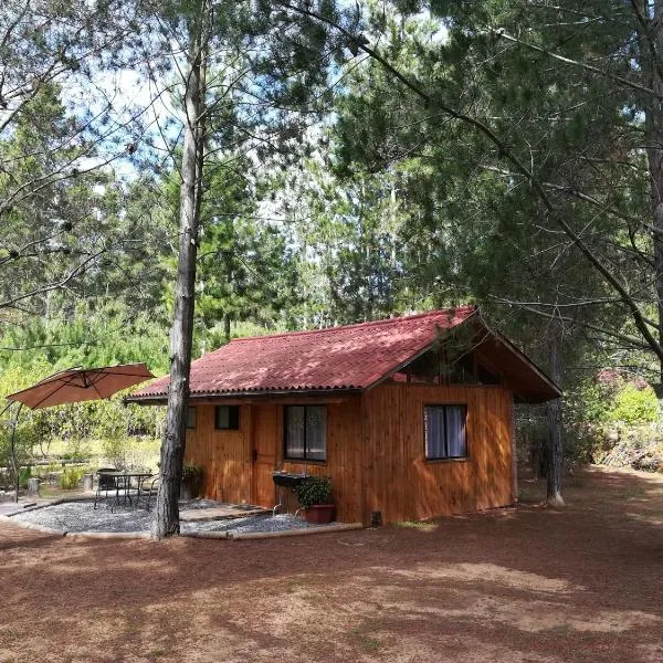 Eco Cabañas Algarrobo, готель у місті Альгарробо