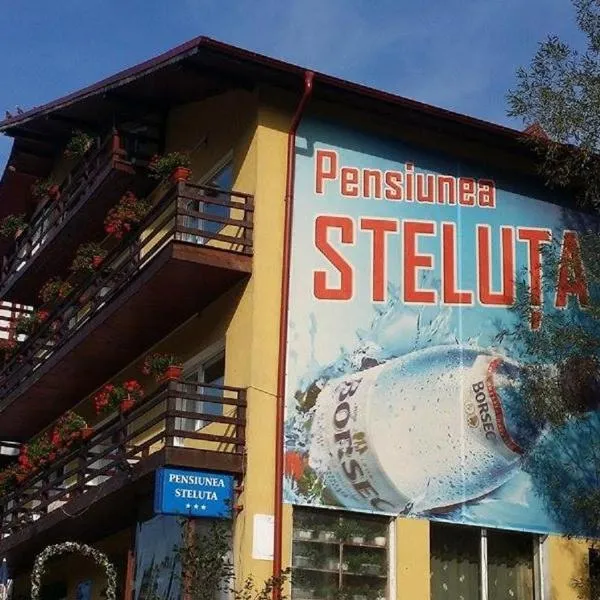 Pensiunea Steluta, hotel di Predeal