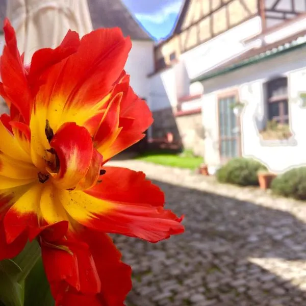 3 Seiten Ferienwohnung, hotel a Bad Sulza