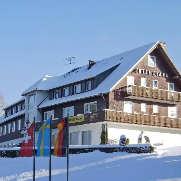 Hotel Diana, hotel en Feldberg