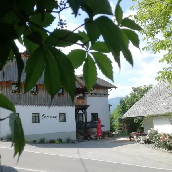 Ortnerhof Ennstal, hotel en Tauplitz