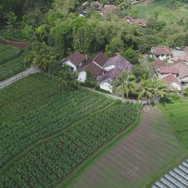 Griya Harja Homestay, hotel di Borobudur