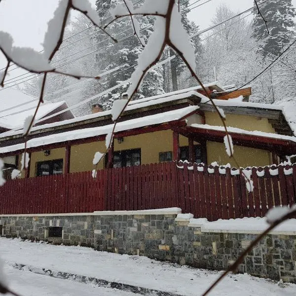 Casa de Vacanta Razvan si Andrei, hotell i Sinaia