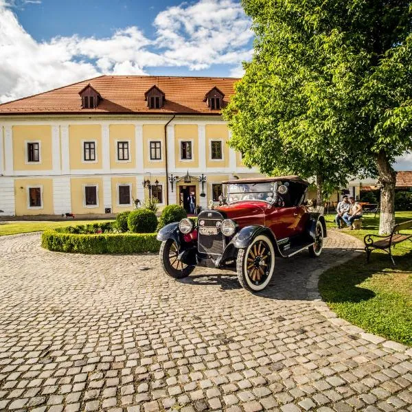 Castel Haller, hotel v destinaci Târgu-Mureş