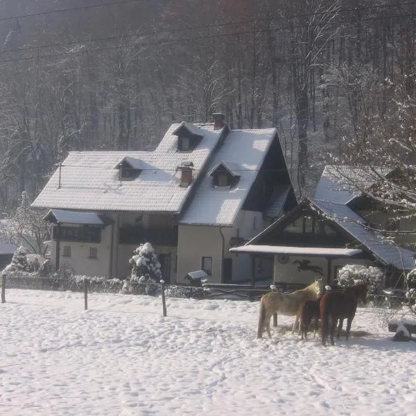 Apartments Gubanec – hotel w mieście Cerklje na Gorenjskem