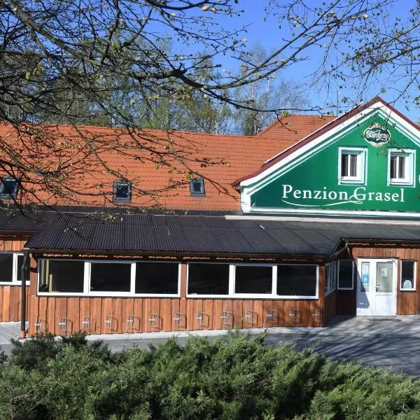 Viesnīca Penzion Grasel pilsētā Tršebīča