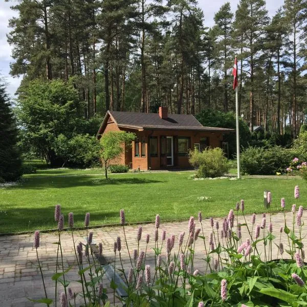 Forest house with outdoor hot tub, hotel in Jūrmala