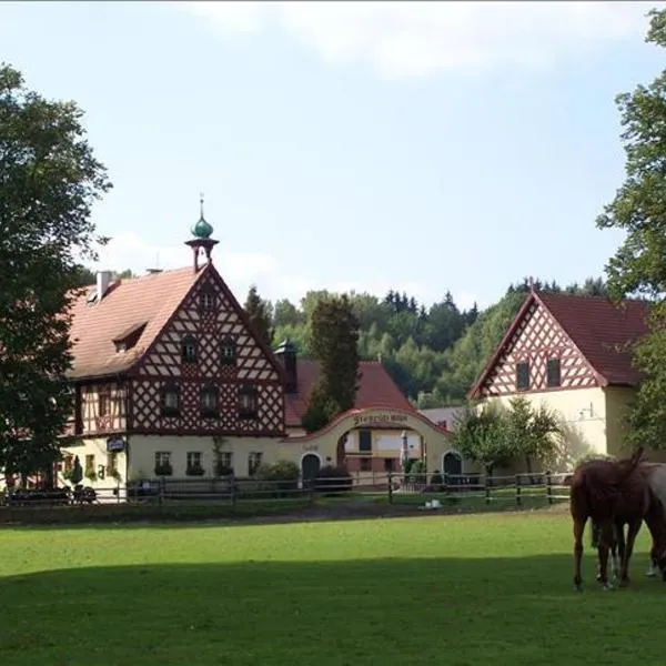 Penzion Štekrův Mlýn, hotel di Františkovy Lázně