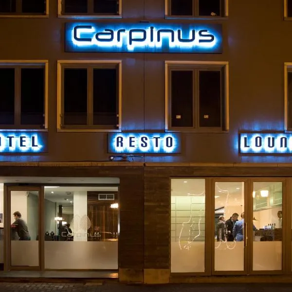 Hotel Carpinus, viešbutis Levene