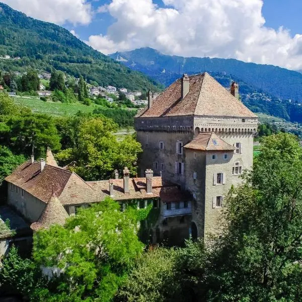 Château du Châtelard | Unique Apartment，位于蒙特勒的酒店