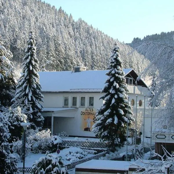 Altes Doktorhaus - Hotel Garni, hôtel à Willingen