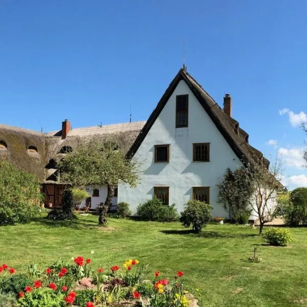 Die Insel auf Rügen – hotel w mieście Bergen auf Rügen