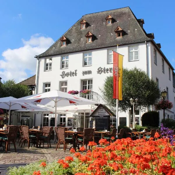 Hotel Zum Stern, hotel en Bad Neuenahr-Ahrweiler