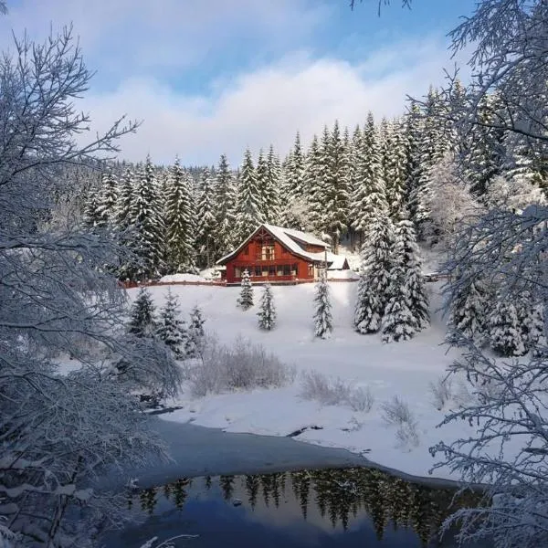 Jezírko lesní restaurant & penzion, hotel v mestu Horní Blatná