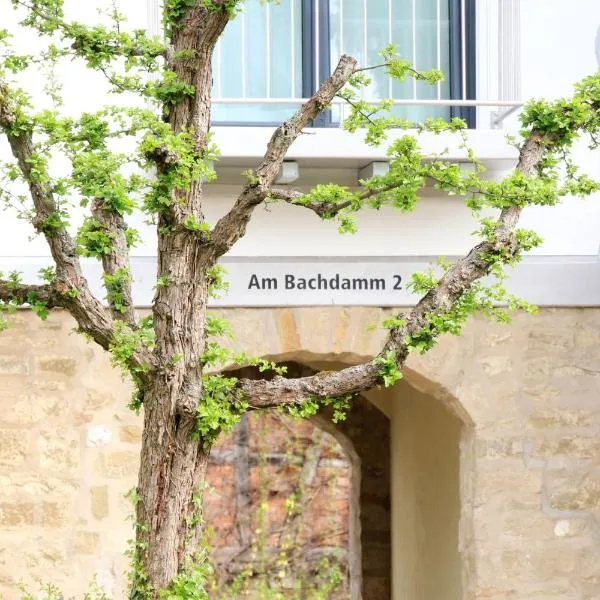 Alte Stadtmauer - Apartment, hotel em Sinsheim