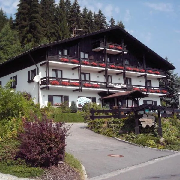 Pension Haus Inge, hotel sa Regen