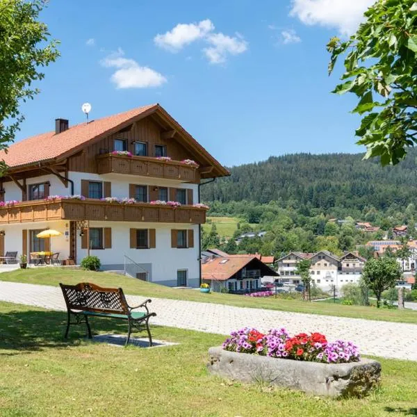 Ferienwohnungen Haus Elisabeth, hotel v mestu Bayerisch Eisenstein