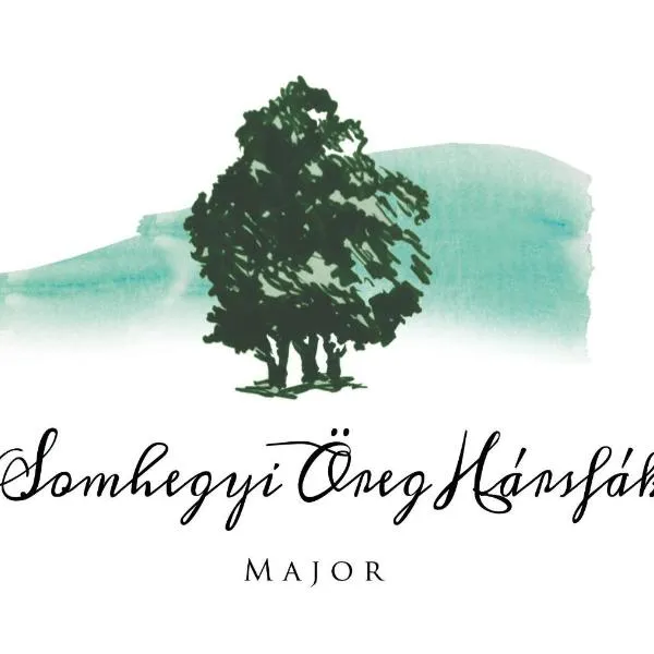 Somhegyi Öreg Hársfák Major Vendégház，巴貢尼貝爾的飯店