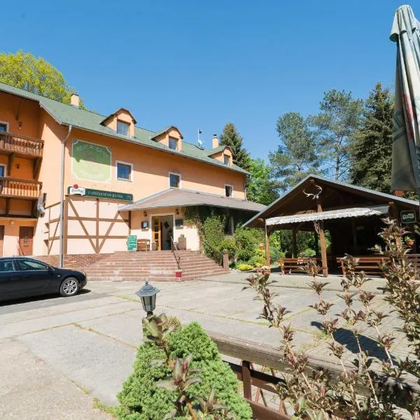 Pension U Stříbrného Jelena, hotel en Cheb