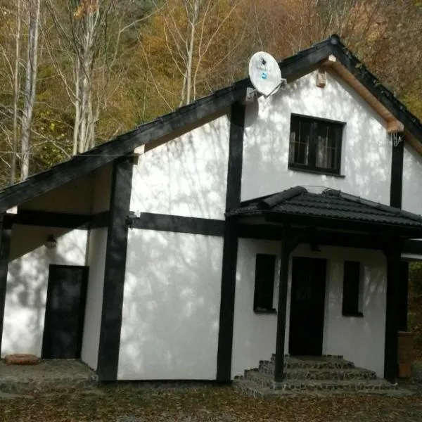 Cabana Crenguta, hotel v Sibiu