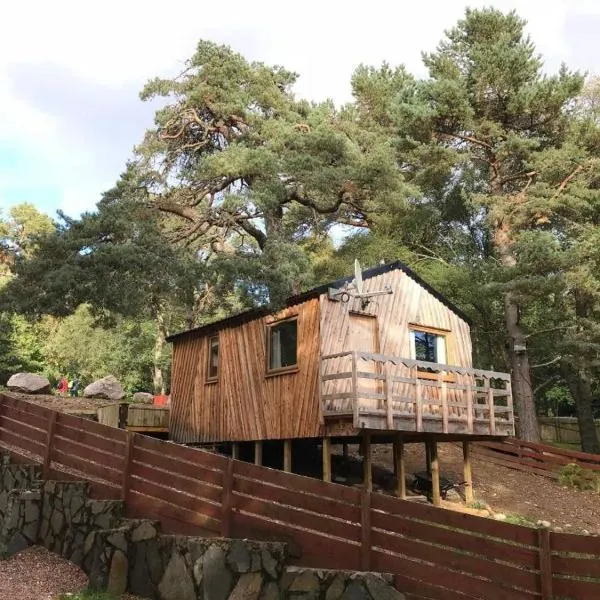 Pine Marten Bar Glenmore Treehouse: Aviemore şehrinde bir otel