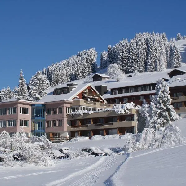 Ferien- und Familienhotel Alpina Adelboden, hotel in Elsigbach