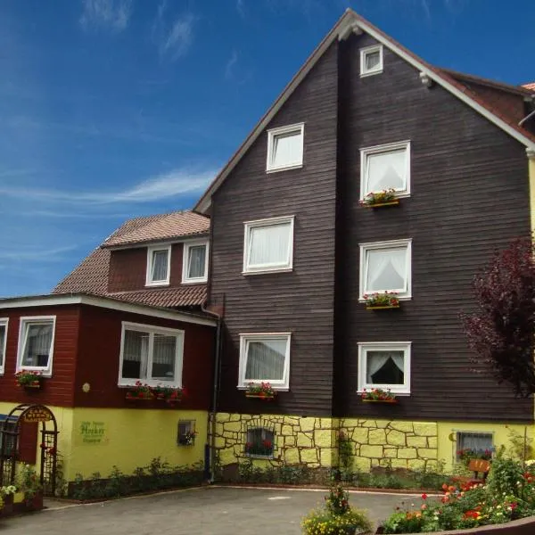 Hotel Hecker Braunlage, hotel en Braunlage