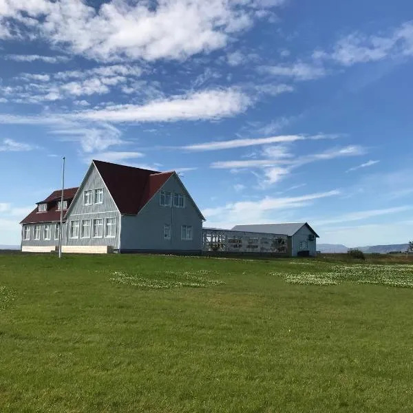 The Old School House - Gaulverjaskoli، فندق في سيلفوس