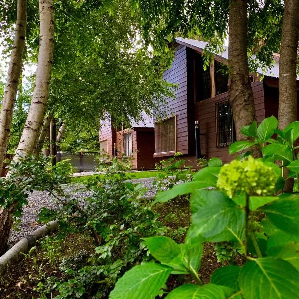 Cabañas Los Laureles - Lican Ray, hotel u gradu 'Coñaripe'