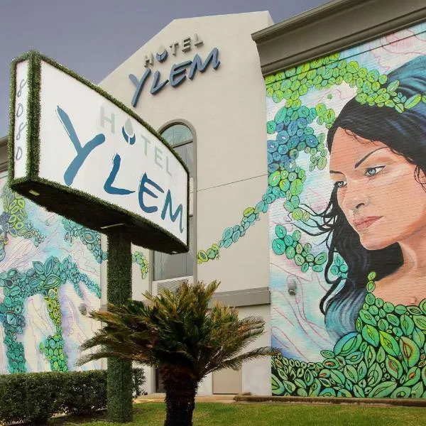 Hotel Ylem, hotel en Houston