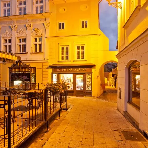 (Ne)vinná kavárna, hotel en Mikulov