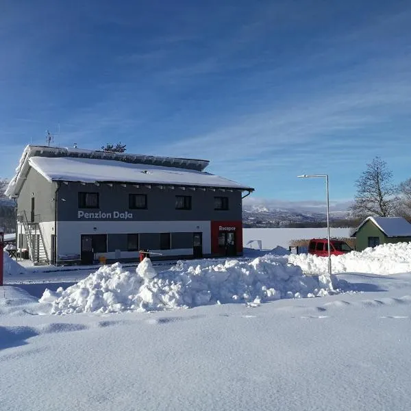 Penzion DaJa，位于Horní Planá的酒店