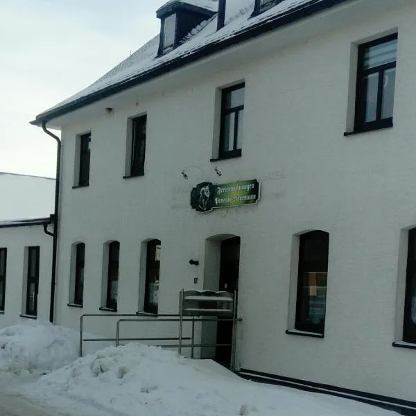 Reiterhof & Pension Lienemann, hotel u gradu Bad Elster