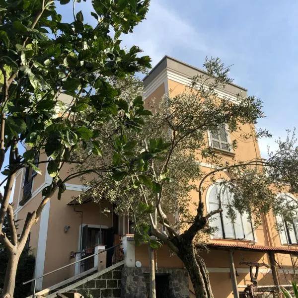 Domus Agricolae Corallina, Hotel in Torre del Greco