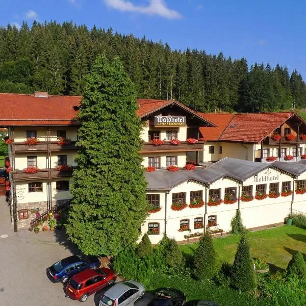 Waldhotel Seebachschleife, hotelli kohteessa Bayerisch Eisenstein