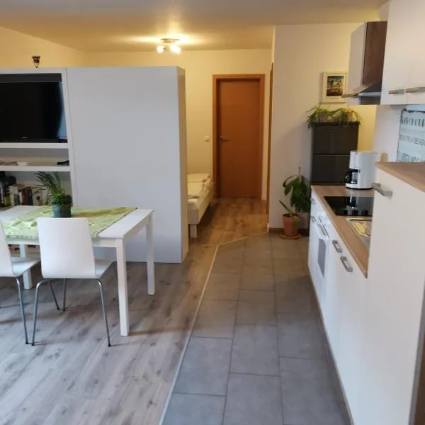 modernes Appartement Schwarzwald Nähe Freiburg, ξενοδοχείο σε Winden im Elztal