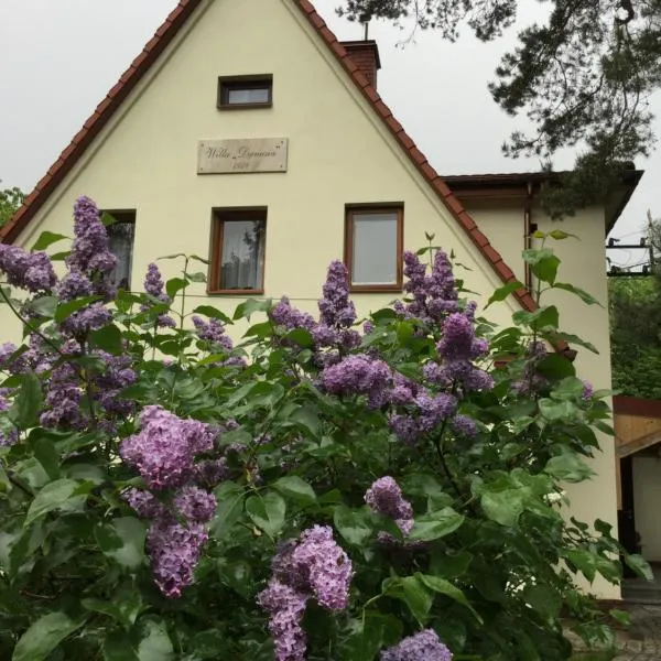 Willa Danusia, hotel v destinaci Pruszków