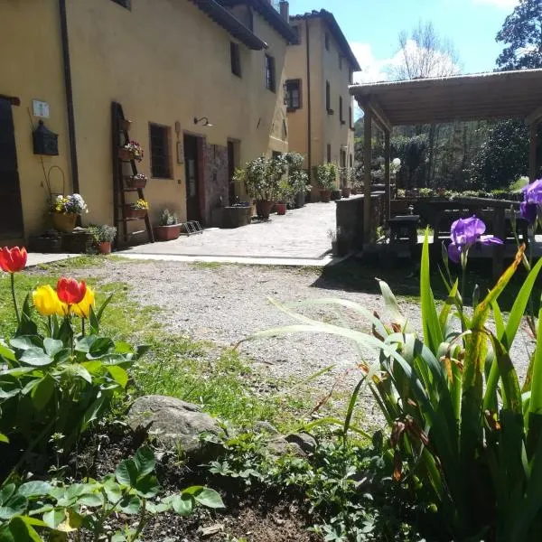 A Casa Del Tosi, hotel sa Lucca