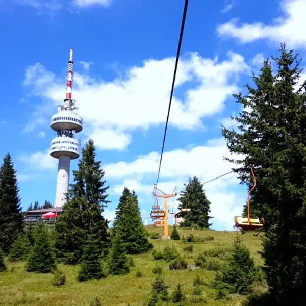 Apartment Snezhanka, hotel Pamporovo