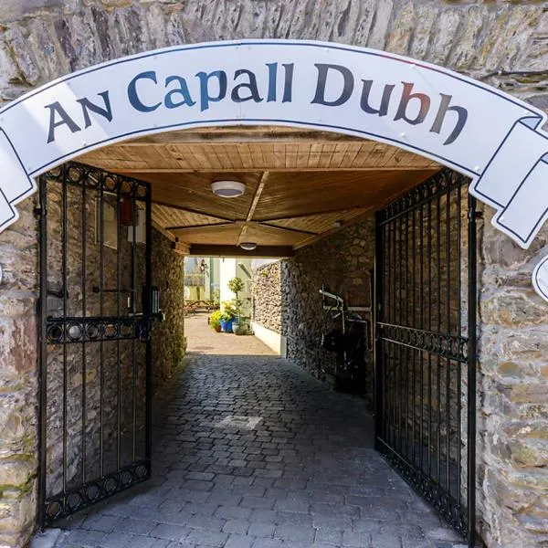 Dingle Centre Townhouse An Capall Dubh Dingle, готель у місті Дінгл