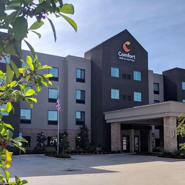 Comfort Inn & Suites, ξενοδοχείο σε Slidell