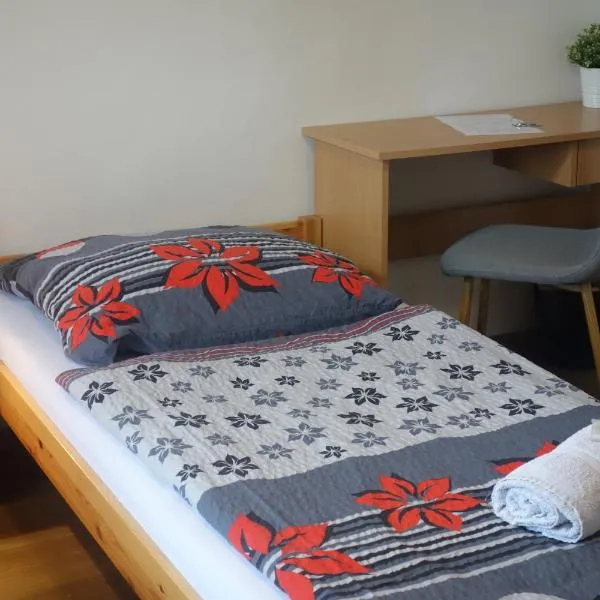 Hostel Bed - Breakfast Brno – hotel w mieście Brno