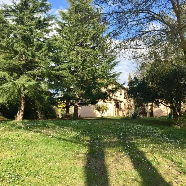 Agriturismo Bethsaid, hotel in Pisa