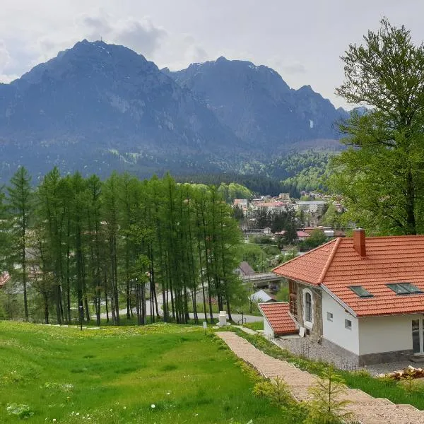 Castelul Cantacuzino, hotel em Buşteni