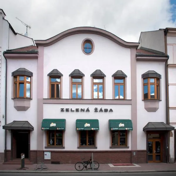 Penzion Zelená Žába, hotel di Pardubice