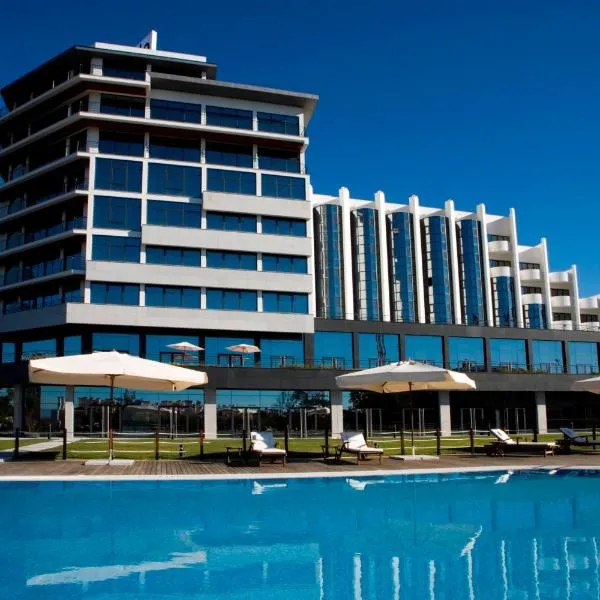 Montebelo Viseu Congress Hotel & Spa, hotel i Viseu