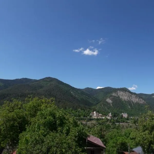 Akaki's Guesthouse, hotel sa Borjomi