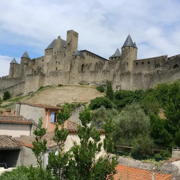 Face à la Cité une vue SUBLIME, готель у місті Каркассонн